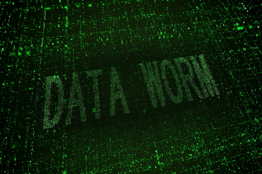 data worm in a computer's system